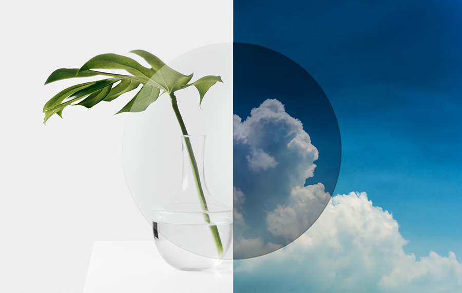 Play chameleon with your photochromic lenses