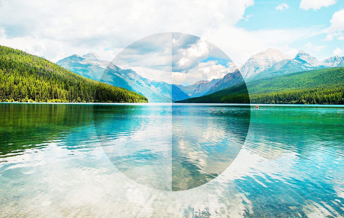 Polarized lenses - eliminate glare situations