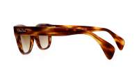 Ray-ban  RB0880S 954/51 52-19 Striped havana
