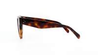 CELINE Bold 3 CL4003IN 53A 48-23 Tortoise