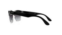 Ray-Ban Steve RB4487 6630/8G 54-18 Black on transparent
