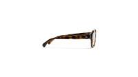 CHANEL CH3439H 1717 54-16 Tartaruga