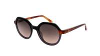 Etnia Barcelona Poblenou 5POBLEN BKHV 50-20 Black Havana