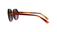 Etnia Barcelona Poblenou 5POBLEN BKHV 50-20 Black Havana