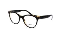 Prada PR 05WV 389-1O1 53-19 Tartaruga