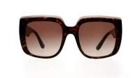 Dolce & Gabbana Capri DG4414 502/13 54-20 Havana on transparent Brown