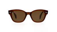Ray-Ban  RB0880S 6640/57 52-19 Transparent Brown