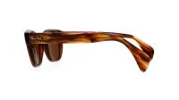 Ray-Ban  RB0880S 6640/57 52-19 Transparent Brown