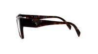 Prada PR 09ZV 2AU1O1 49-17 Tortoise