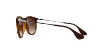 Ray-Ban Erika Tortoise RB4171 865/13 54-18 Medium Gradient