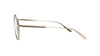 DIOR GEMDIORO RU B500 52-18 Tartaruga