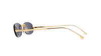 FENDI First crystal FE4075US 30V 54-15 Oro