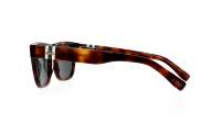 Lacoste L979S 240 56-18 Tartaruga