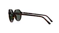 Ray-Ban Thalia Écaille G-15 RB2195 902/31 51-18 Small
