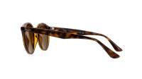 Ray-Ban RB2180 710/73 49-21 Tartaruga