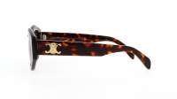 CELINE Triomphe 08 CL40238U 52A 55-19 Tartaruga