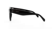CELINE Bold 3 CL4003IN 01B 48-23 Schwarz