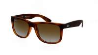 Ray-Ban Justin Braun Matt RB4165 865/T5 54-16 Mittel Polarisierte Gläser Gradient Gläser