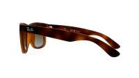 Ray-Ban Justin RB4165 865/T5 54-16 Marrone