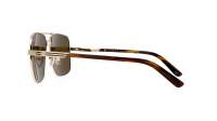 Gucci Gucci logo GG1289S 002 62-14 Oro