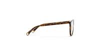 CHANEL CH3446 C714 52-16 Dark havana