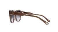 Chloé CH0160S 004 54-19 Marrone