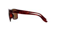 Maui Jim Pailolo H603-10 58-18 Tortoise