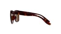 Maui Jim Pehu H602-10 55-20 Tortoise