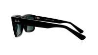 Ray-Ban Warren RB4396 6677/71 57-20 Noir