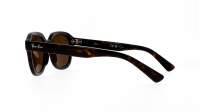 Ray-Ban Erik RB4398 902/57 51-20 Havana