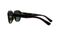 Ray-Ban Erik RB4398 902/31 53-20 Havana