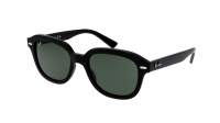 Ray-Ban Erik RB4398 901/31 51-20 Noir