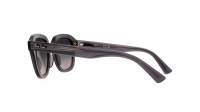 Ray-Ban Erik RB4398 6675/71 53-20 Opal Dark Gray