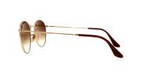 Ray-Ban Round Metal RB3447 001/51 47-21 Gold