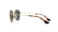 Ray-Ban Rob jr. RJ9572S 223/71 48-19 Arista
