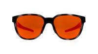 Oakley Actuator OO9250 05 57-16 Black Tortoise