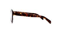 CELINE 3 dots hd CL50124I 052 50-19 Tartaruga