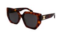 CELINE Triomphe CL40239F 53A 55-20 Tortoise