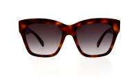 CELINE Triomphe 09 CL40253I 53K 55-18 Tortoise