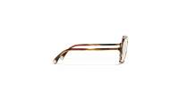 CHANEL CH3447 1728 53-14 Tartaruga