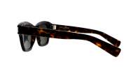 Saint Laurent New wave SL 592 002 47-23 Tartaruga