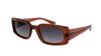 Ray-Ban Kiliane RB4395 6678/T3 54-21 Transparent Brown