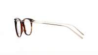 Saint Laurent Classic SL 579 002 49-18 Havane