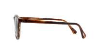 Oliver peoples Gregory peck sun OV5217S 1724P1 50-23 Tuscany tortoise