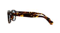 Moscot Lemtosh LEMTOSH SUN 46 MATTE TORTOISE Tartaruga