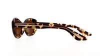 Oliver peoples 1969c OV5513SU 140757 53-19 Vinage DTB