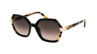 Etnia Barcelona Les corts 5 LESCOR BKHV 54-18 Black Havana