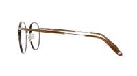 Garrett Leight Wilson 3003 DKWR-BS-HZL 49-22 Tartaruga