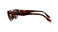 FENDI Way FE40009I 53E 52-16 Tartaruga