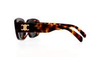 CELINE Triomphe 04 CL40216U 53A 55-15 Tartaruga